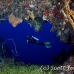 swimthru_rg_lc_h_0098_cay0101.jpg